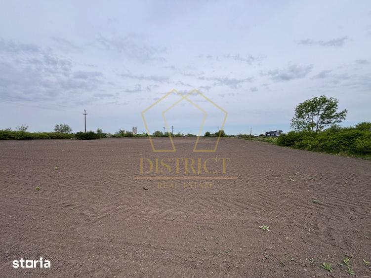Teren de 48800 mp, în Pădureni