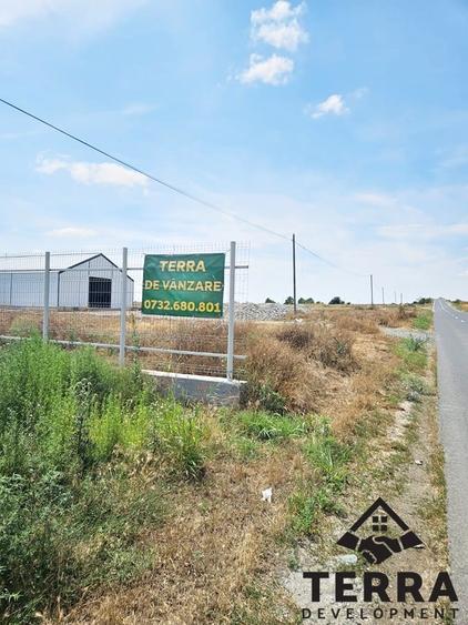 Teren Construcții intravilan de 3000 mp, în Vest