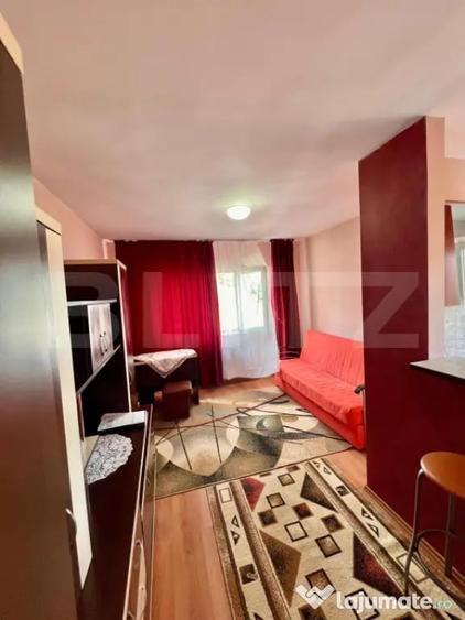 Apartament cu 1 camera, 27.17 mp, zona Calea Turzii - 4