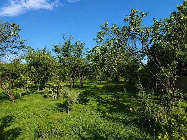 Casă cu 2 camere cu Teren 4400 Mp în Viile Satu Mare
