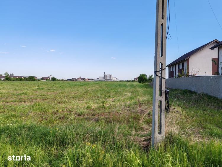 Teren de 4200 mp, în Clinceni