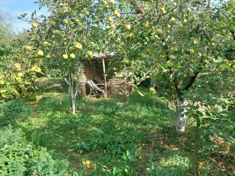 Casă individuală cu 3 camere cu Garaj în Bibirești