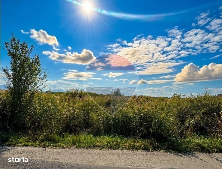 Spațiu comercial, în Lunca Calnicului