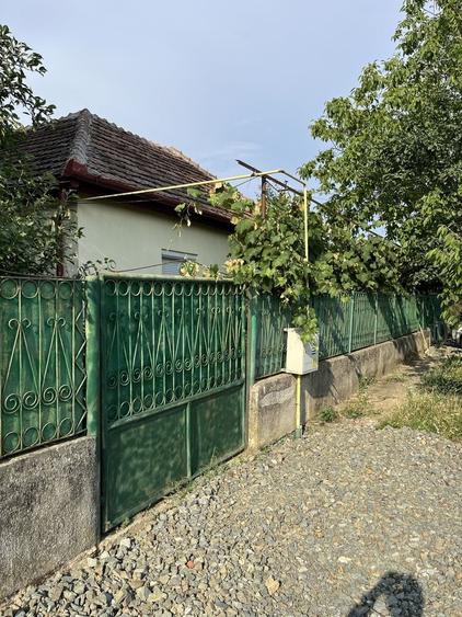 Casă cu 3 camere în Albina