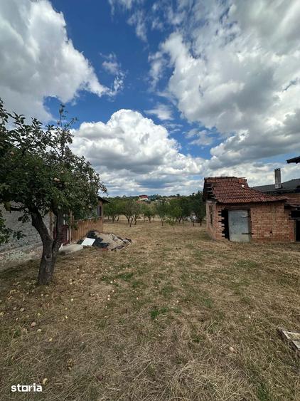 Teren Intravilan,Viile Satu Mare - 1