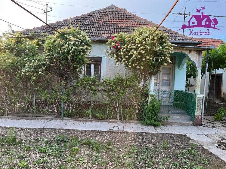 Casa in localitatea Ianosda - 6