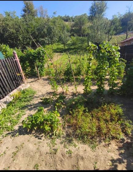 Casă cu 1 camere în Ormeniș