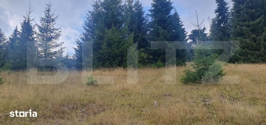 Teren extravilan de vanazre, 42.152 mp, zona Saru Dornei - 3