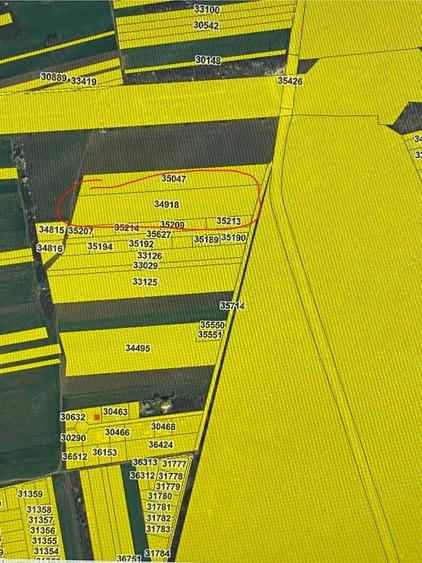 Teren de 10600 mp, în Bolintin-Deal