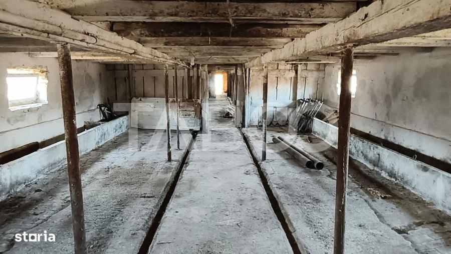 Casă cu 3 camere cu Teren 123 Mp în Pianu