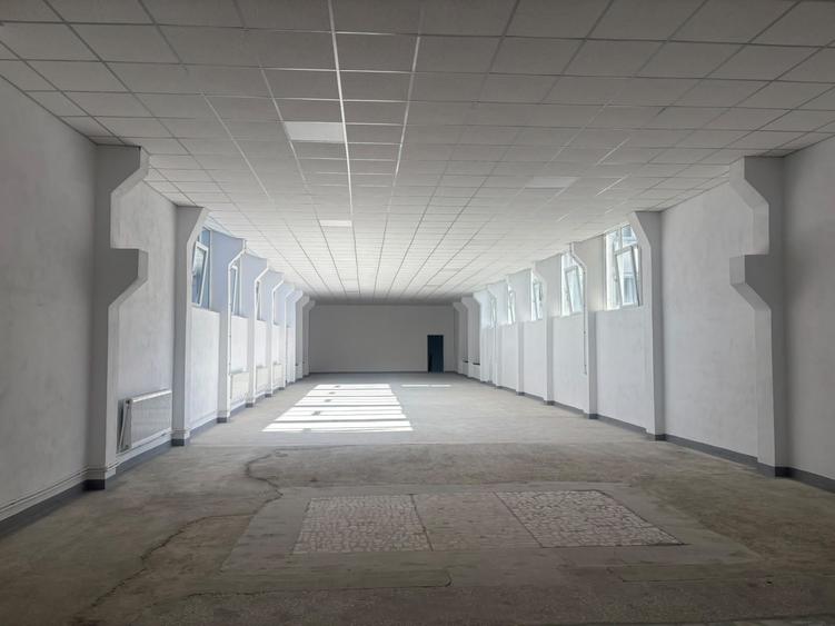 Spațiu comercial, de 650 mp, în Avrig