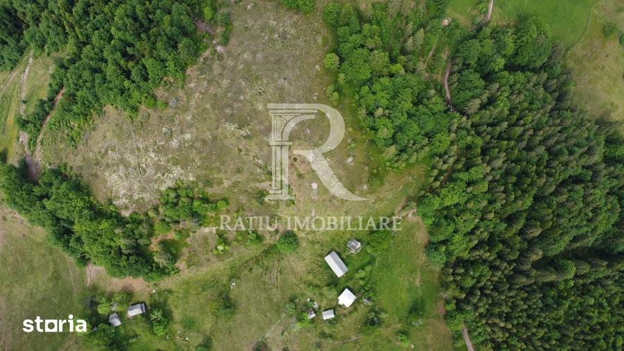 Teren de 18506 mp, în Budureasa
