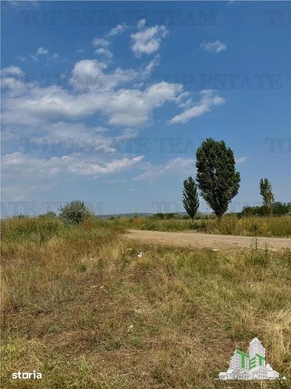 Teren de 5000 mp, în Central
