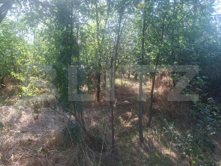 Teren Construcții extravilan de 5000 mp, în Mătăsaru