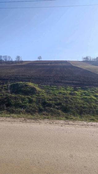 Teren de 5600 mp, în Ungureni
