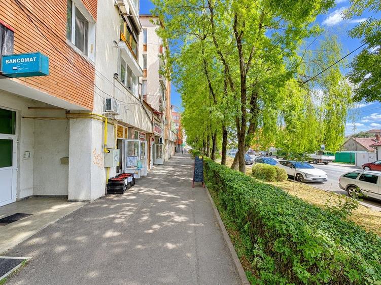Apartament cu 4 camere decomandat, mobilat în Lipovei