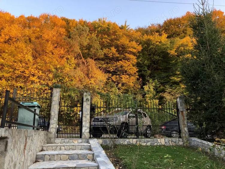 Casă cu 4 camere în Ciuta