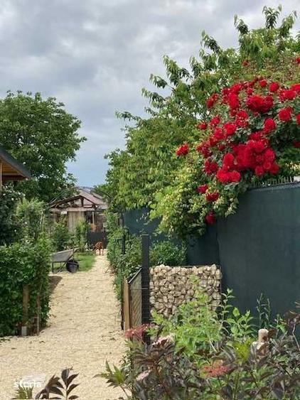 Casă cu 3 camere cu Teren 85 Mp în Moara Vlăsiei