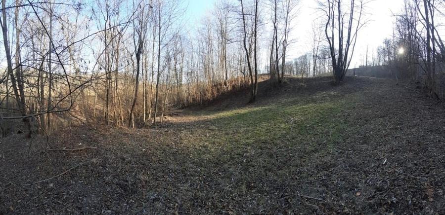 Teren de 4750 mp, în Provița de Sus