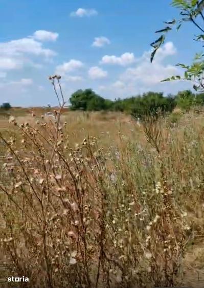 Pantelimon - Centura Bucuresti, teren 2500mp, D20ml, intravilan conf N - 5