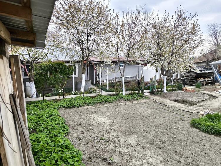 Casă cu Teren 850 Mp în Râmniceni