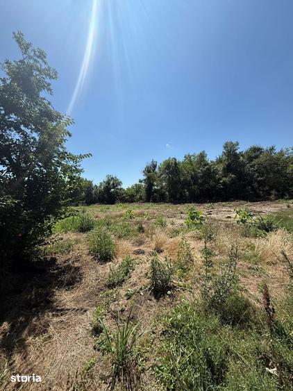 Teren de 1000 mp, în Ileana