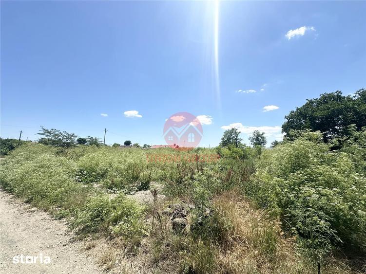 Teren de 1700 mp, în Amzacea