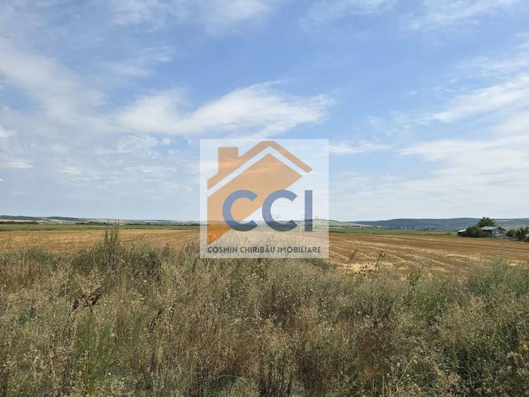 Teren agricol intravilan de 50000 mp, în Holt