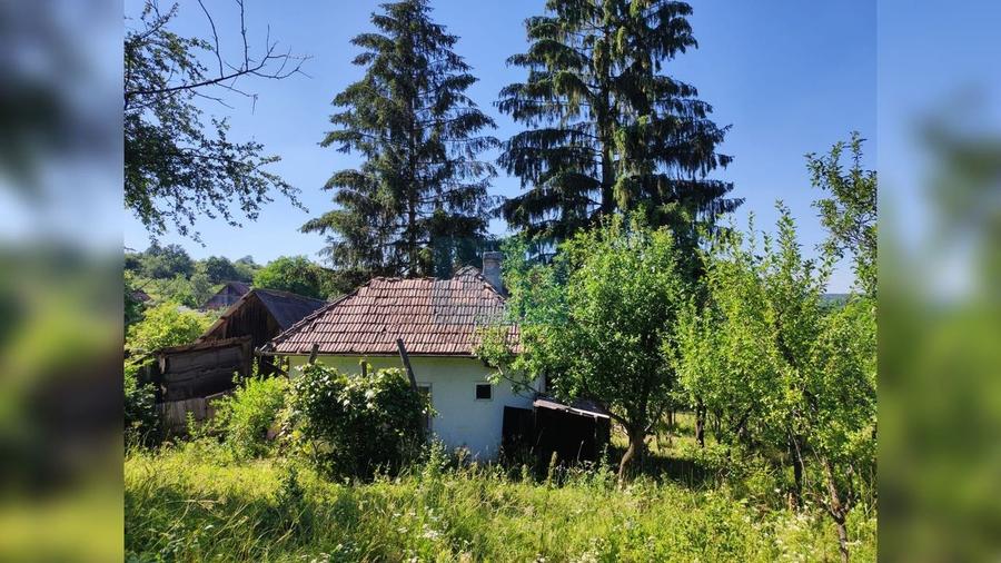 Teren Construcții intravilan de 72000 mp, în Topa Mică