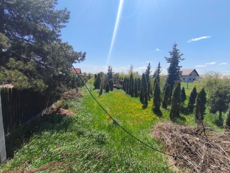 Teren Construcții intravilan de 4600 mp, în Est