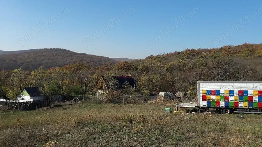 Teren de 1500 mp, în Telița