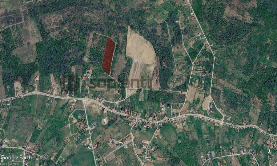 Teren agricol intravilan de 4316 mp, în Săldăbagiu de Munte