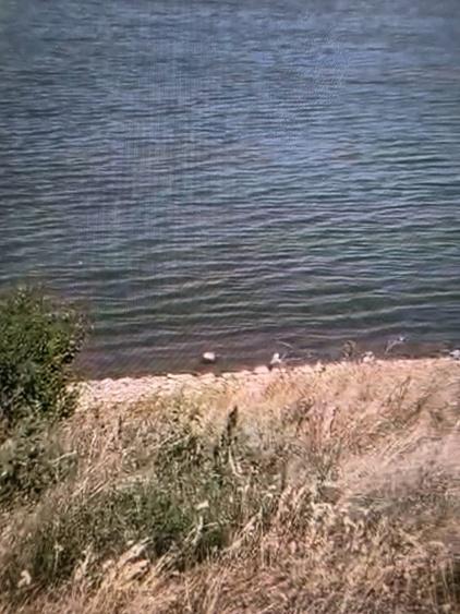 Teren extravilan de 2500 mp, în Central