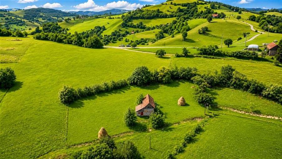 Teren Construcții intravilan de 10335 mp, în Poiana Mărului