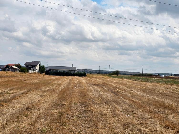 Teren Construcții intravilan de 8000 mp, în Șimnicu de Sus