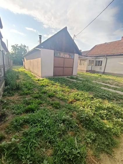 Vand casa in Satu Mare zona Magnoliei - 5