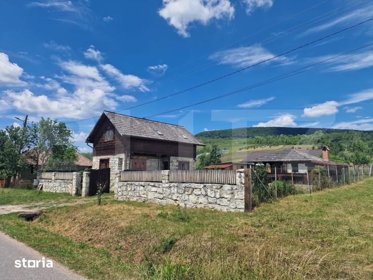Proprietate deosebita: Casa cu 2 cladiri, foisor generos si teren de 3 - 2