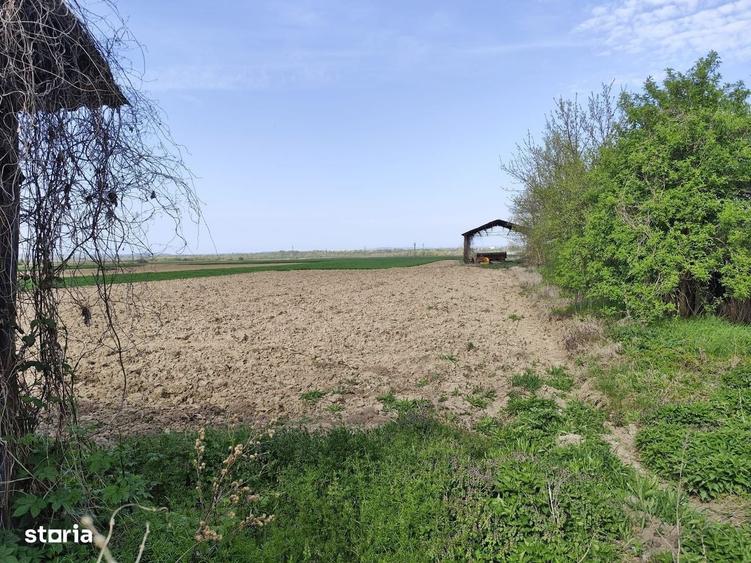 Casă cu 4 camere cu Teren 4122 Mp în Petid