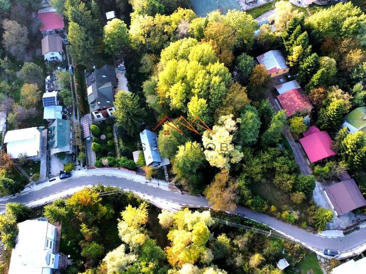Teren Construcții intravilan de 2020 mp, în Central