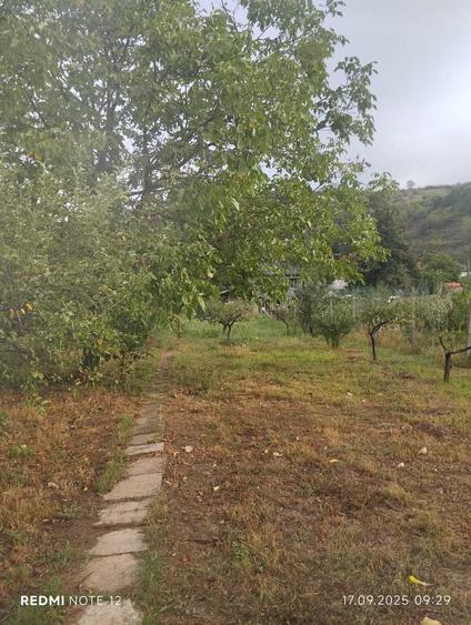 Casă cu 4 camere în Păuliș