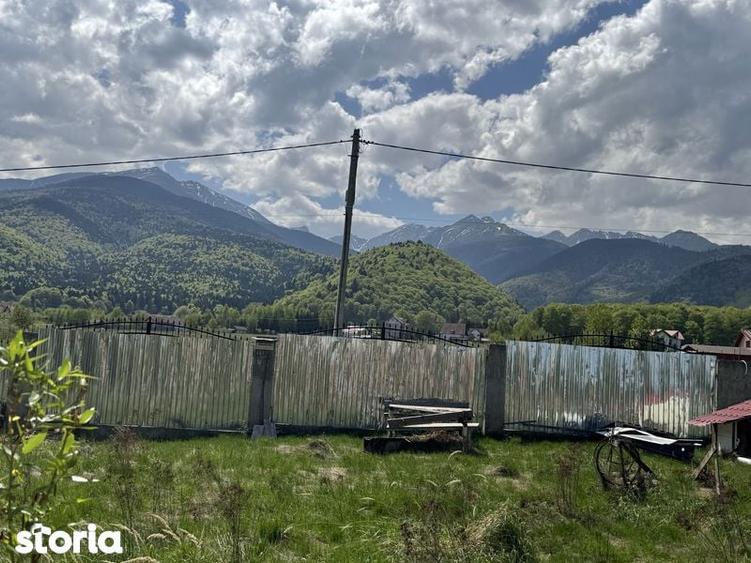 Teren de 4542 mp, în Sâmbăta de Sus