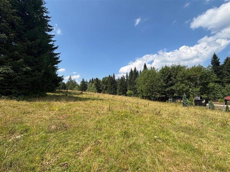 Teren Construcții intravilan de 1000 mp, în Vlădeț - Trei Brazi