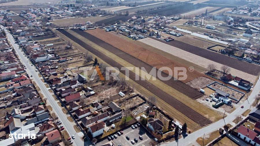 Teren intravilan cu PUZ str Albinelor Stupini - 3