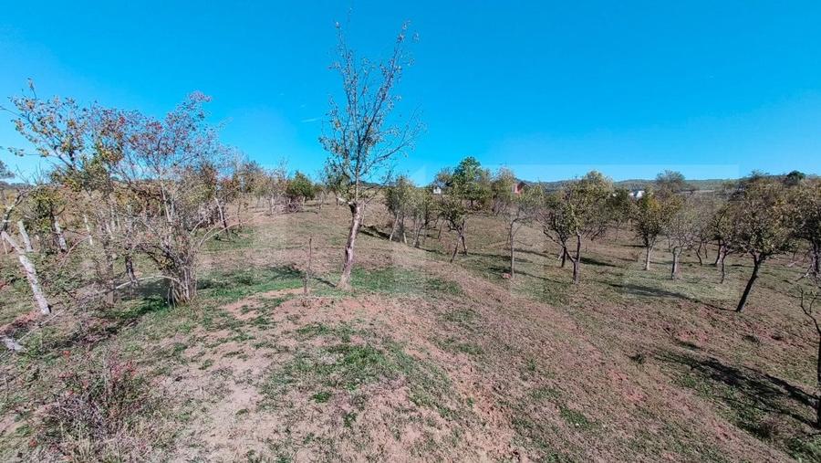 Teren agricol extravilan de 7382 mp, în Valea Lungă-Cricov