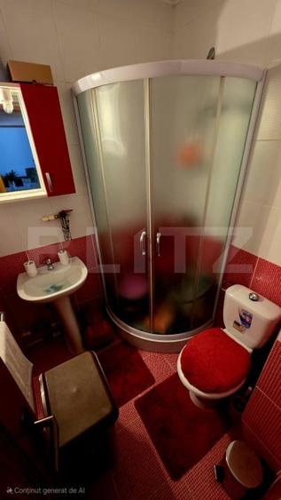 Apartament spațios, de vanzare, cu 4 camere, zona Han - 11