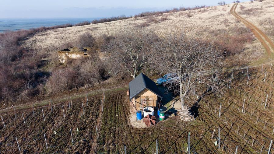 Teren agricol extravilan de 6800 mp, în Covăsinț