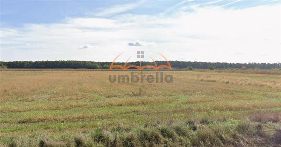 Teren agricol extravilan de 6700 mp, în Hideaga