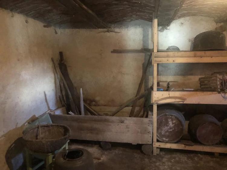 Casă cu 3 camere cu Teren 1900 Mp în Jina