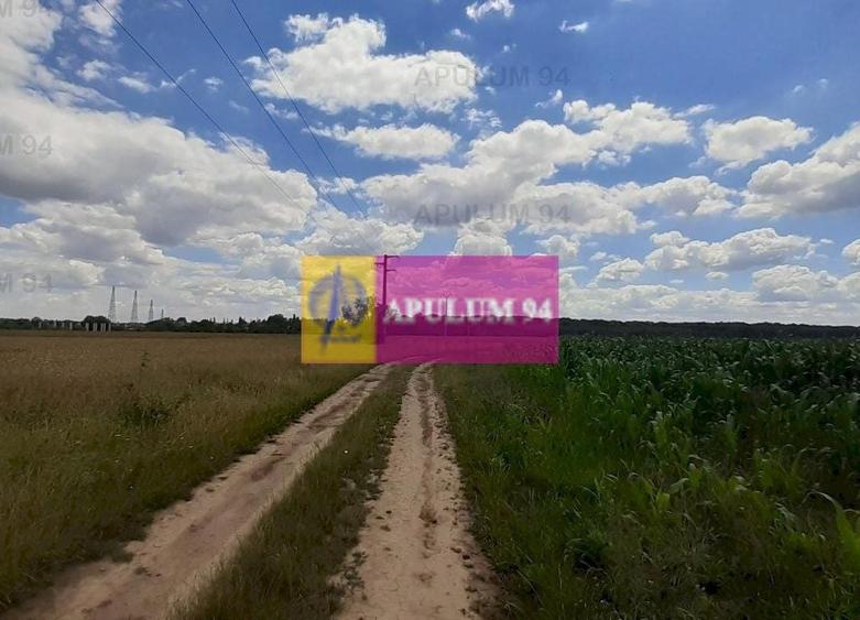 Teren Construcții intravilan de 715 mp, în Snagov