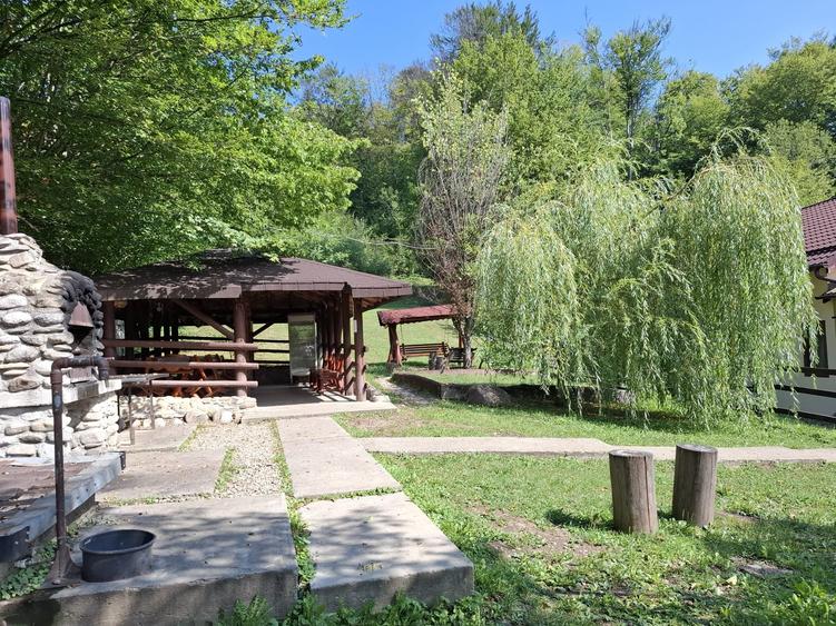 Casă cu 6 camere cu Teren 2267 Mp în Iedera de Sus